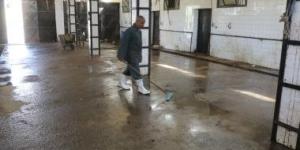 جاهزية 38 مجزرا حكوميًا مجانا استعدادا لعيد الأضحى فى المنيا