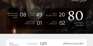 وزارة الصناعة تصدر 80 رخصة تعدينية جديدة خلال شهر مارس