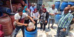 إعدام 11 طن مواد غذائية فاسدة وغلق منشآت مخالفة قبل عيد الأضحى بالإسكندرية