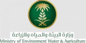 بيئة الشرقية: اليوم العالمي للبيئة يجسد نداءً عالمياً للعمل المناخي وتعزيز الاستدامة