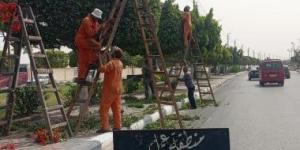 استمرار أعمال التجميل والتشجير ورفع كفاءة المسطحات الخضراء بالإسماعيلية