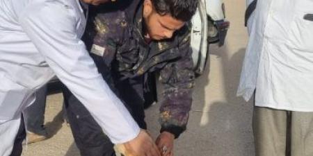 "الطب البيطري بمدينة العاشر": تعقيم وتطعيم 196 كلبا بعدد من المجاورات