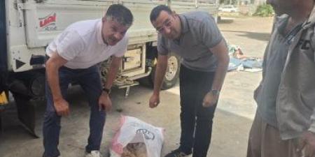 ضبط 14 طن دواجن نافقة وهياكل فراخ وأوراك وأجنحة مجمدة غير صالحة بكفر الشيخ