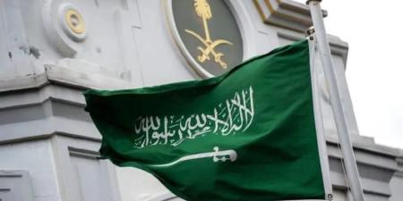 سفارة المملكة لدى الصين تنبّه المواطنين بضرورة تعبئة بطاقة الدخول الإلكترونية مسبقًا
