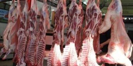 بيطرى المنيا: ضبط أكثر من نصف طن لحوم ومصنعات غذائية خلال حملات مكثفة