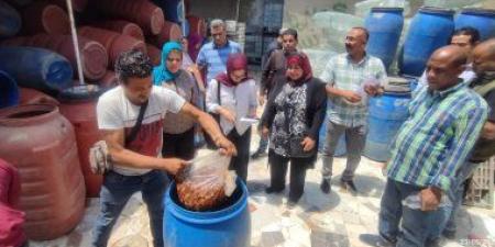 إعدام 11 طن مواد غذائية فاسدة وغلق منشآت مخالفة قبل عيد الأضحى بالإسكندرية