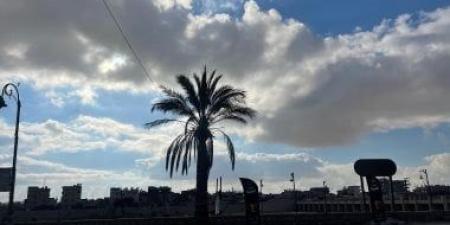 طقس ربيعى يسيطر على شمال سيناء.. وشبورة مائية خفيفة فى الصباح الباكر