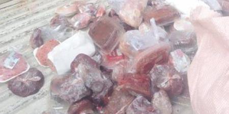 تحصين 155710 طيور متنوعة بلقاحات الدواجن بكفر الشيخ وتحرير 25 محضرا للمخالفين