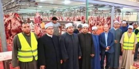 الأوقاف تتابع تجهيز صكوك الأضاحى بالفيوم لتوزيعها