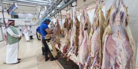 بيئة جازان تشرف على (14,028) رأس من الأضاحي