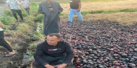 حريق ضخم يلتهم 15 فدان بصل فى إحدى قرى الدقهلية.. فيديو وصور