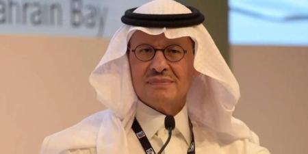 «أوبك +» تزيد الإنتاج 188 ألف برميل الشهر المقبل