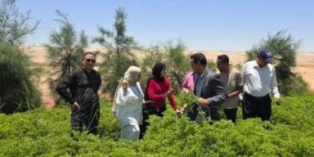 رئيس بلاط يتفقد أحد مشروعات الاستثمار الزراعى المتخصصة بقطاع النباتات الطبية