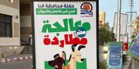 قنا تبدأ حملة ميدانية لنشر ثقافة التعامل السليم مع الكلاب الضالة.. صور
