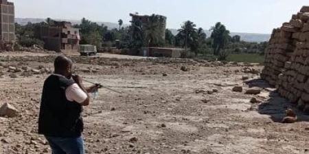 تحصين الكلاب الحرة للحد من الأمراض بأسوان