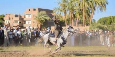البيوت تفتح أبوابها للزوار والعشرات يتنافسون بالخيل.. حكاية مولد الأسمنتي بقنا