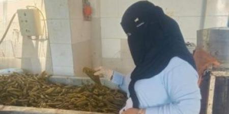 ضبط 10.4 طن مخللات مجهولة المصدر داخل مصنع غير مرخص بالقصاصين في الإسماعيلية