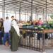 كيف غيرت المشروعات الخدمية شكل الحياة في سوهاج؟.. صور