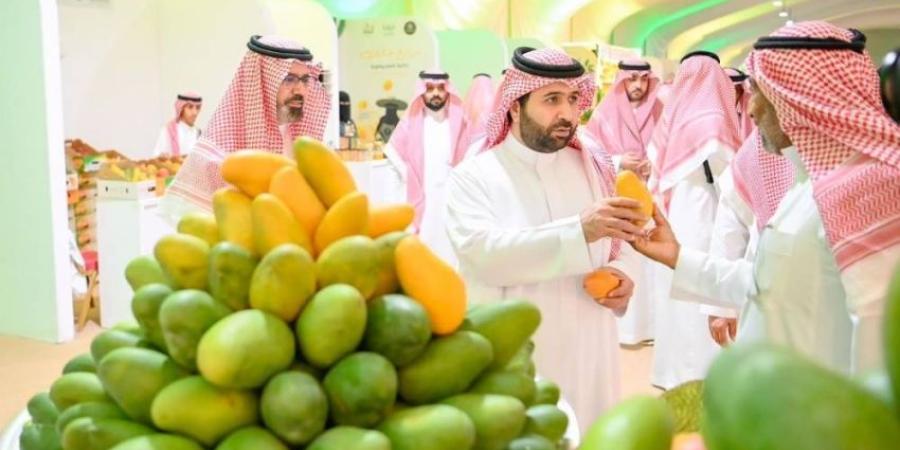50 مزارعاً ومليون شجرة.. صبيا تحتفي بموسم المانجو وتبرز قوتها الزراعية