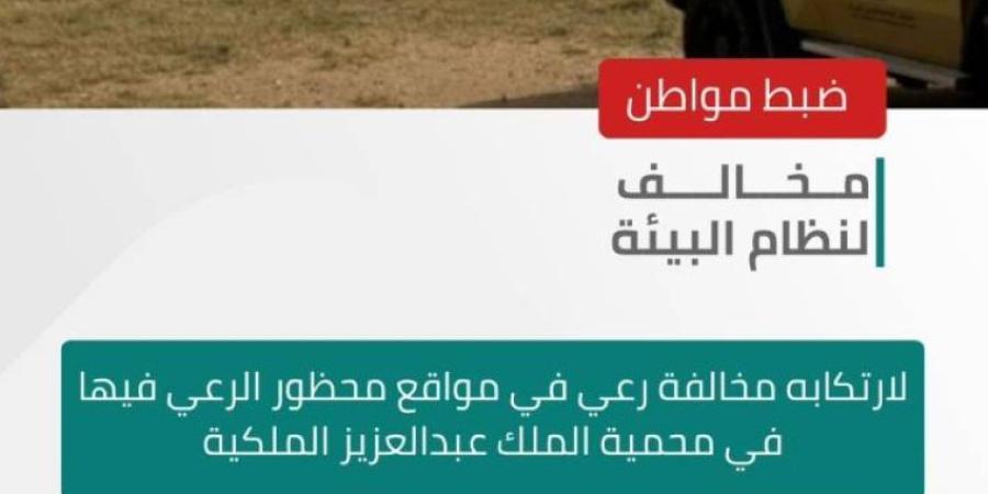 الأمن البيئي يضبط مخالفًا لارتكابه مخالفة رعي بمواقع محظورة بمحمية الملك عبدالعزيز