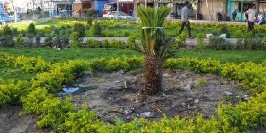 رفع كفاءة منطقة «أمل نهضة مصر» وتطوير 13 عمارة سكنية ببورسعيد.. صور