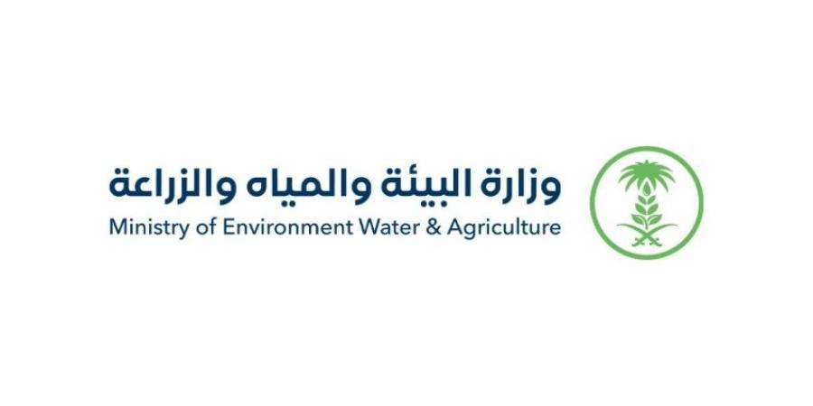 البيئة: وفرة عالية من الأضاحي لتلبية احتياجات ضيوف الرحمن خلال موسم الحج
