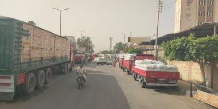 توريد القمح لصوامع الأقصر مستمر يوميا بلجان التموين والزراعة.. فيديو وصور