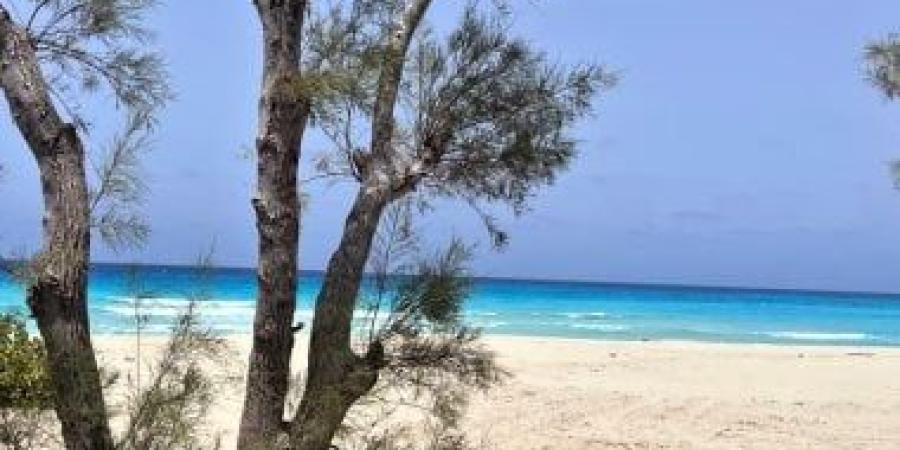 العيد على شواطئ مطروح والساحل الشمالى شكل تانى