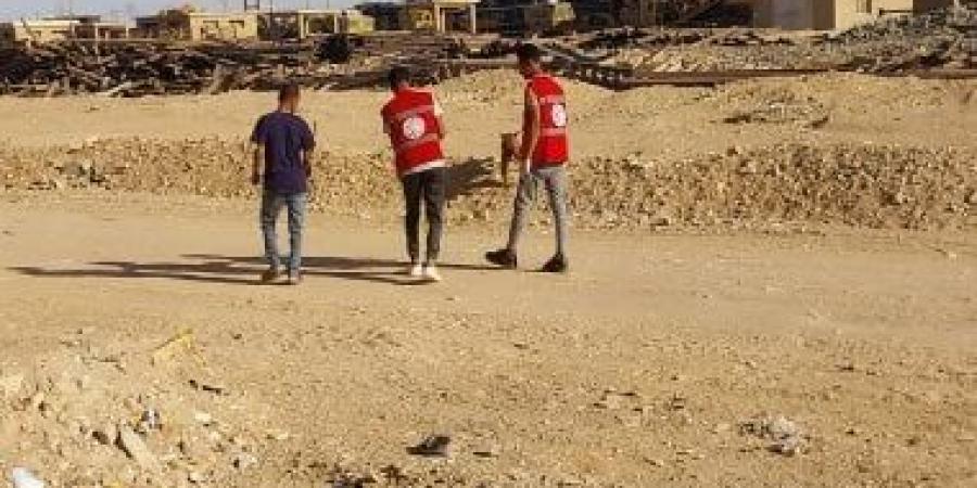 محافظ قنا يوجه بتكثيف حملات تحصين الكلاب الضالة