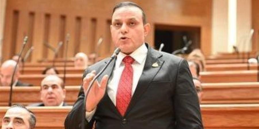 نائب: العلمين الجديدة نموذج لمدن المستقبل ومبادرة اليوم السابع توثق طفرة التنمية