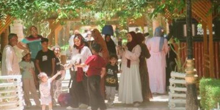 الحديقة النباتية بأسوان تستقبل 1950 زائرا خلال عيد الأضحى المبارك