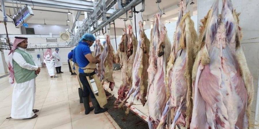 بيئة جازان تشرف على (14,028) رأس من الأضاحي