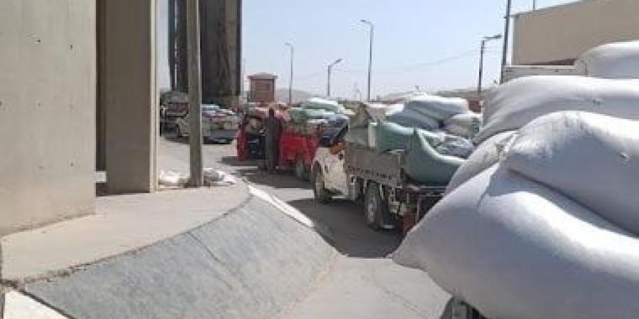 توريد 644 ألفا و360 طنا من محصول القمح لشون والصوامع بالشرقية