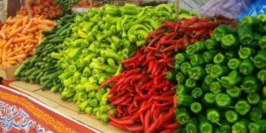 أسعار الخضراوات بالدقهلية اليوم.. الطماطم بـ25 جنيها والبطاطس بـ17 جنيها