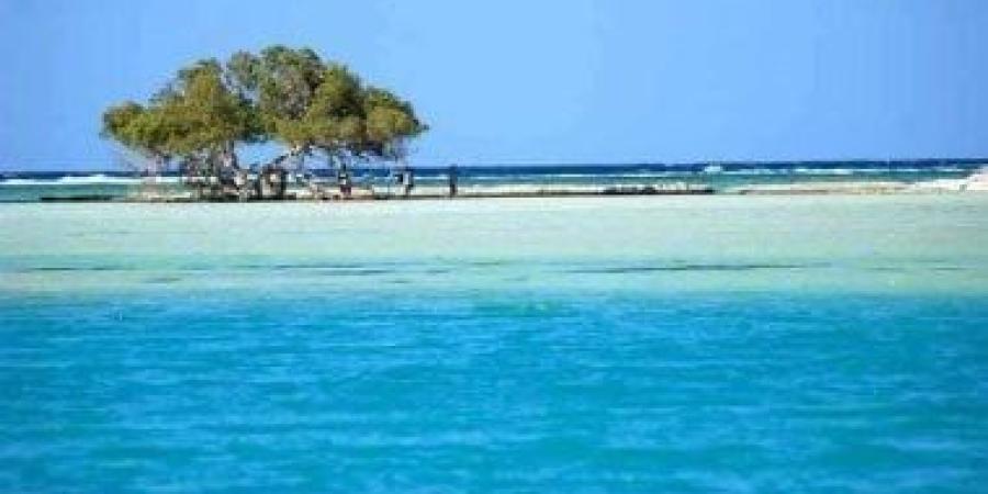 تعرف على أكبر مشروع مارينا سياحى فى مرسى علم على مساحة نصف مليون متر