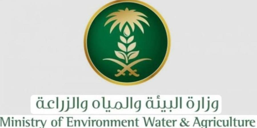 بيئة الشرقية: اليوم العالمي للبيئة يجسد نداءً عالمياً للعمل المناخي وتعزيز الاستدامة