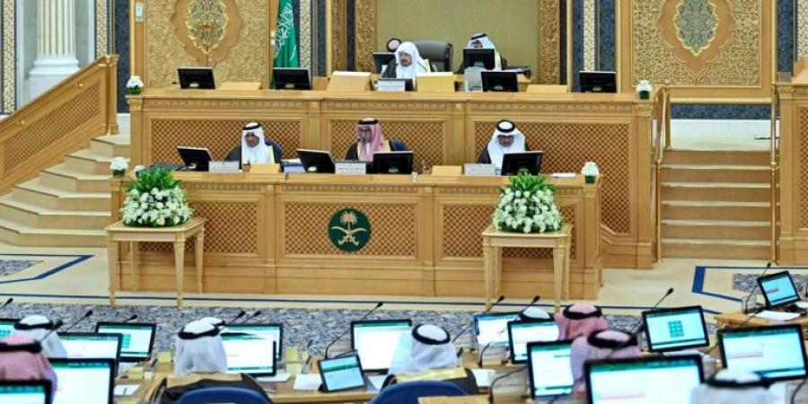 الشورى يطالب بتحفيز نشاط بيع الكهرباء بالجملة