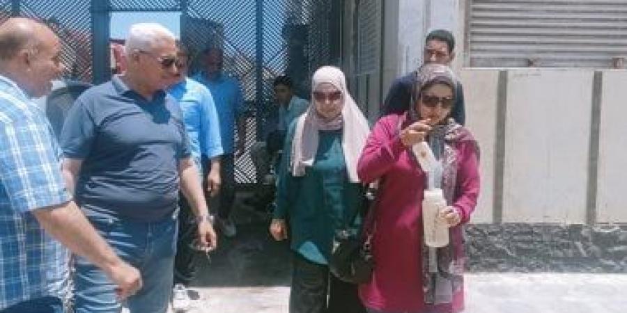 حملات بيئية مكثفة بالمنطقة الصناعية بالدقهلية للحد من الملوثات وانبعاث الروائح