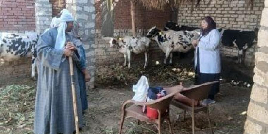 تحصين نحو 75 ألف رأس ماشية ضد مرضى الحمى القلاعية والوادى المتصدع بأسيوط