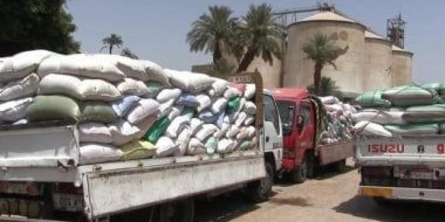محافظ سوهاج: توريد 184 ألف قمح إلى الشون والصوامع