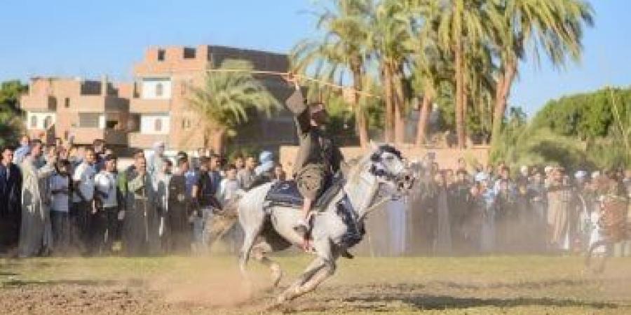 البيوت تفتح أبوابها للزوار والعشرات يتنافسون بالخيل.. حكاية مولد الأسمنتي بقنا