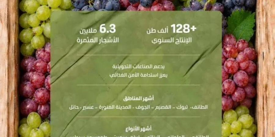 عناقيد العنب تغمر الأسواق بإنتاج وفير يتجاوز 128 ألف طن من أجود الأصناف المحلية