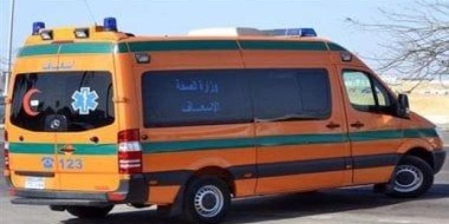 بينهم 3 أطفال.. أسماء مصابى عقر حيوان مفترس بقنا