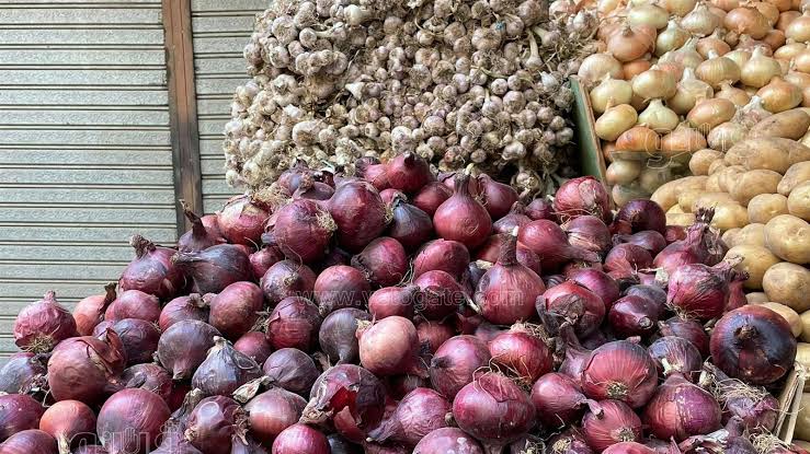 الخضروات تعلن موعد تراجع أسعار البصل الأحمر في الأسواق